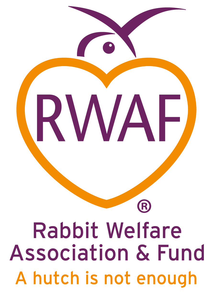 Rabbit Welfare Association And Fund Press Office Hosted